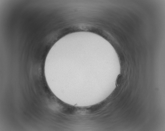 X0000081370595200702082348