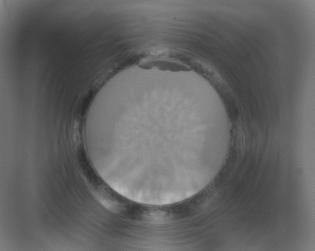 X0000081370598200702082348