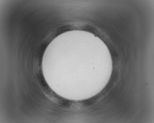 X0000081370599200702082348