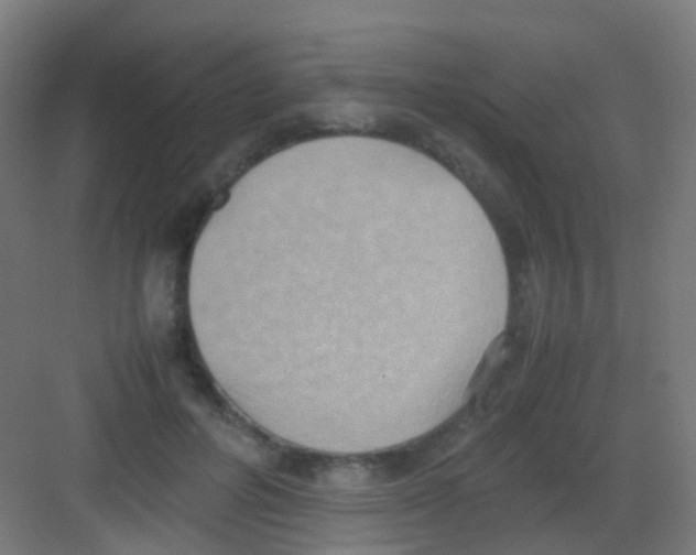 X0000081370600200702082348