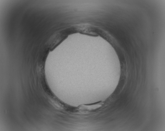 X0000081370601200702082348