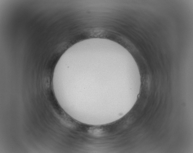 X0000081370602200702082348