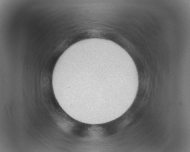 X0000081370603200702082348