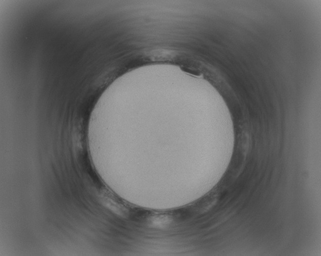 X0000081370604200702082348