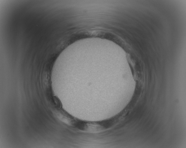 X0000081370605200702082348