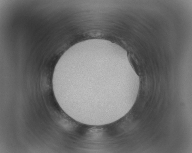 X0000081370606200702082348