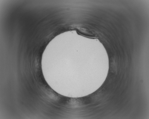 X0000081370608200702082348