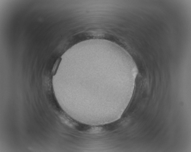 X0000081370609200702082348