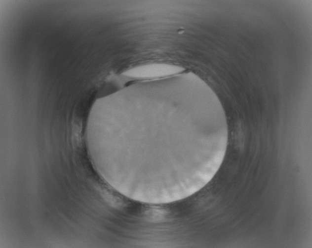 X0000081370610200702082348