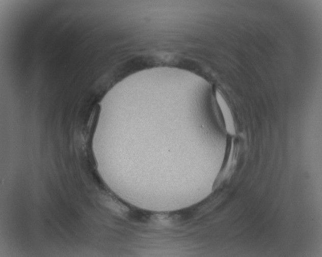 X0000081370613200702082348