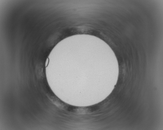 X0000081370615200702082348