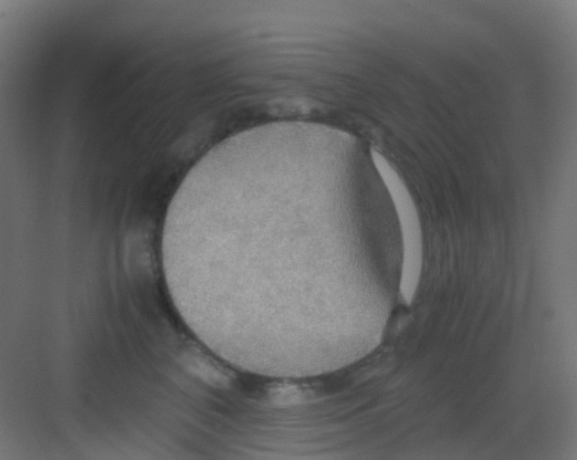 X0000081370616200702082348