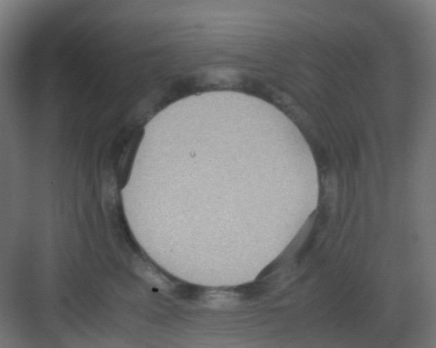 X0000081370617200702082348