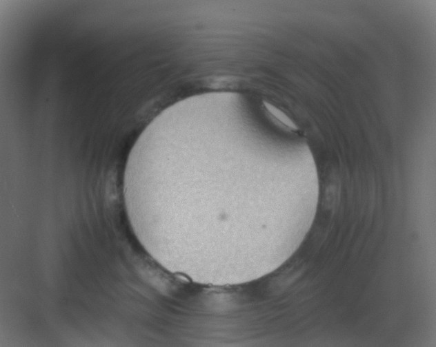 X0000081370620200702082348