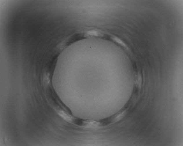 X0000081370621200702082348