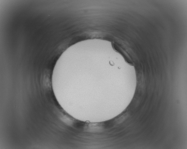 X0000081370622200702082348