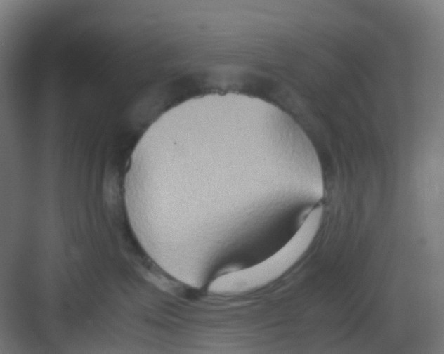 X0000081370623200702082348