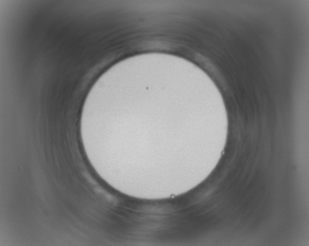 X0000081370625200702082347