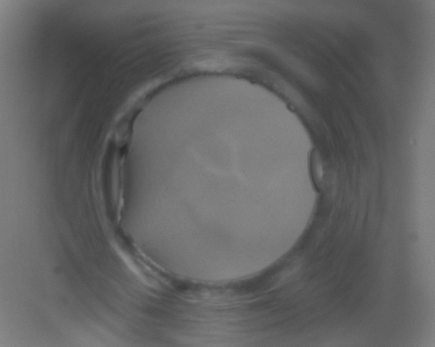 X0000081370626200702082347