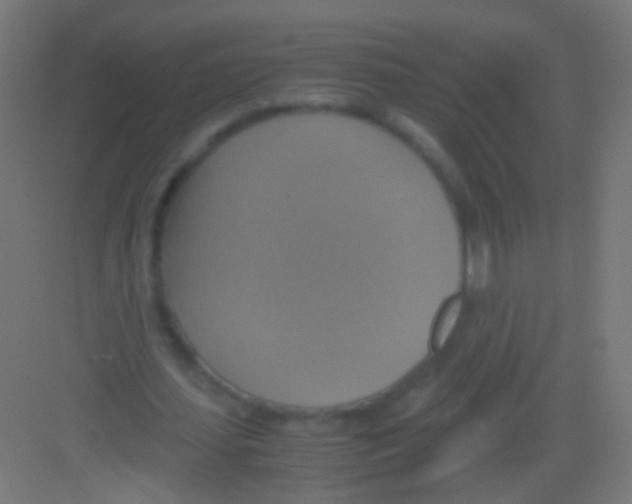 X0000081370627200702082347