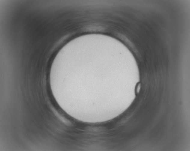 X0000081370629200702082347