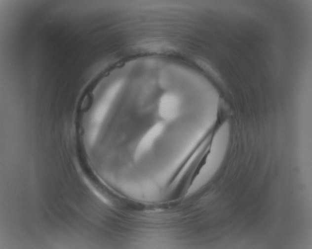 X0000081370630200702082347