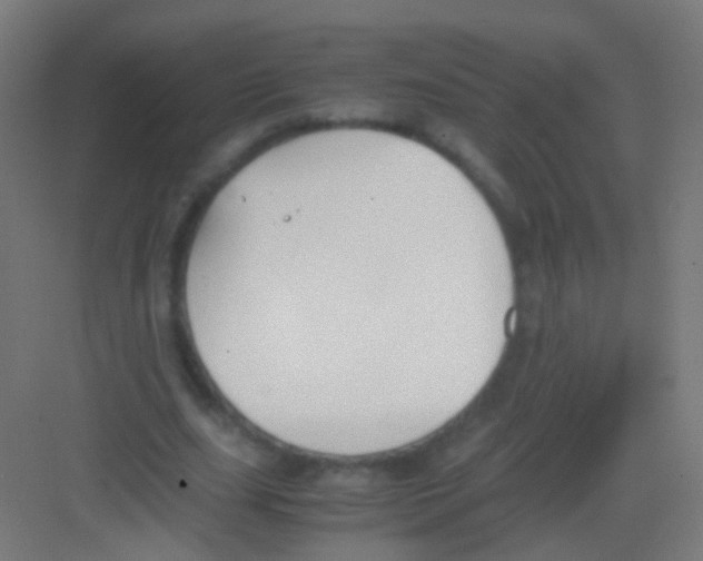 X0000081370631200702082347