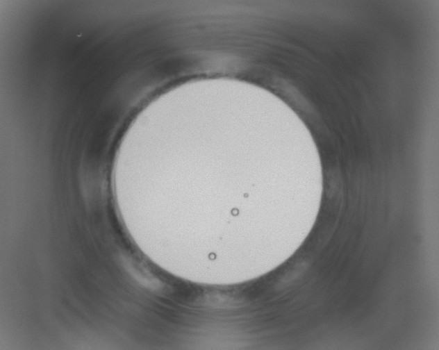 X0000081370632200702082347