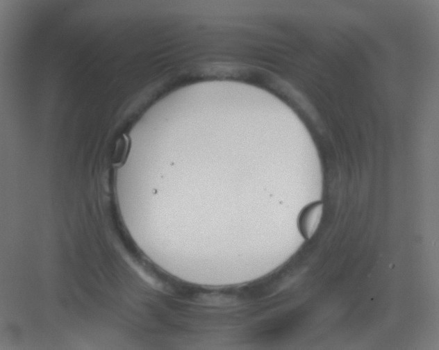 X0000081370633200702082347