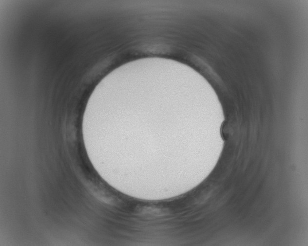 X0000081370635200702082347