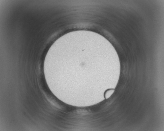 X0000081370636200702082347