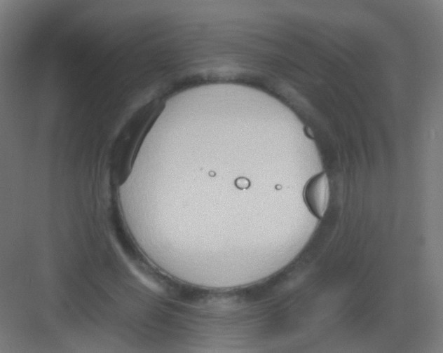 X0000081370638200702082347