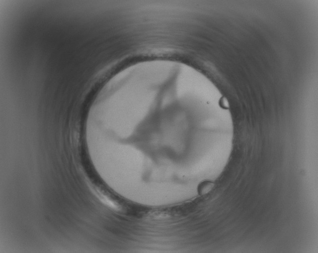 X0000081370640200702082347