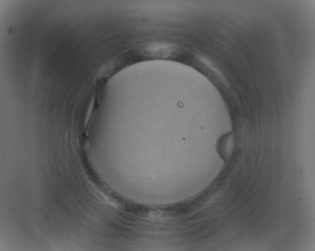 X0000081370641200702082347