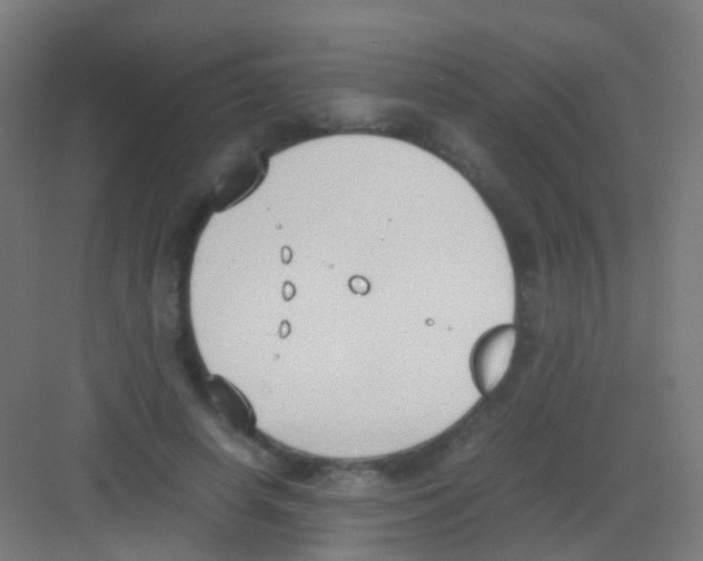 X0000081370642200702082347