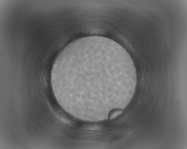 X0000081370643200702082347