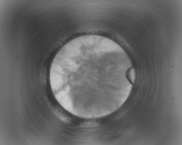 X0000081370644200702082347