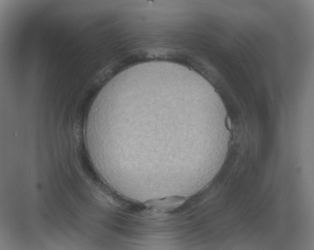 X0000081370648200702082347