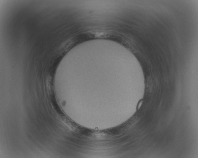 X0000081370650200702082347