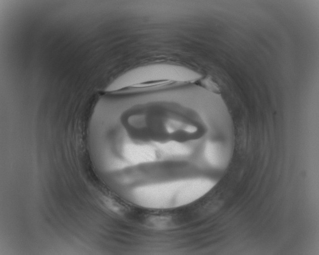 X0000081370653200702082347