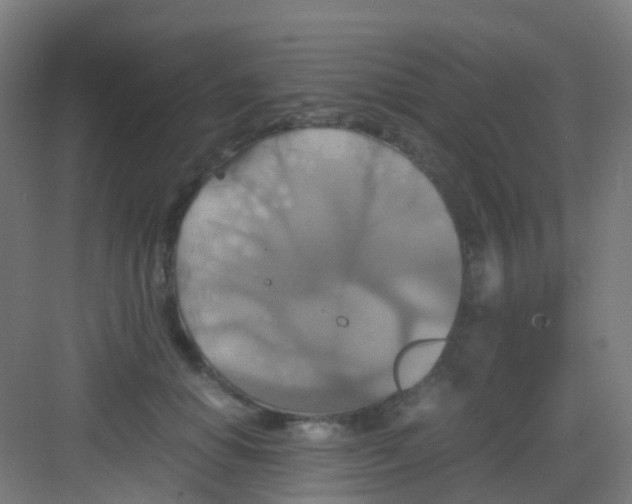 X0000081370654200702082347