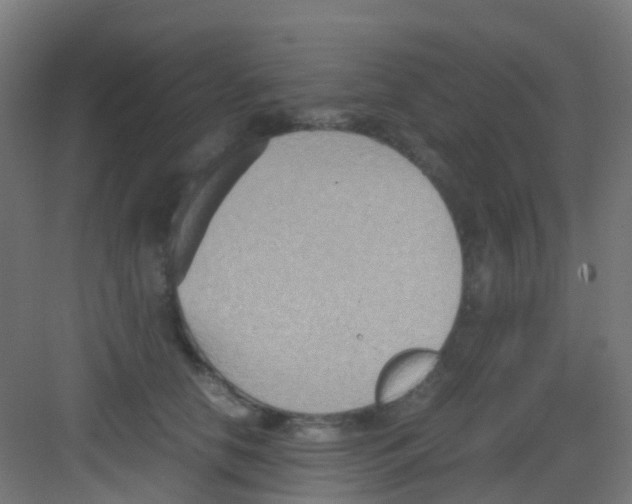 X0000081370658200702082347