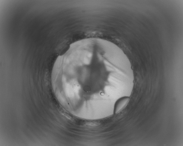 X0000081370659200702082347