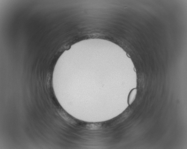 X0000081370660200702082347