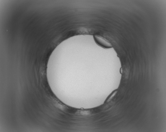 X0000081370665200702082347