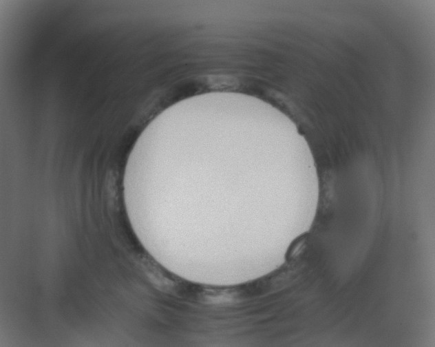 X0000081370667200702082347