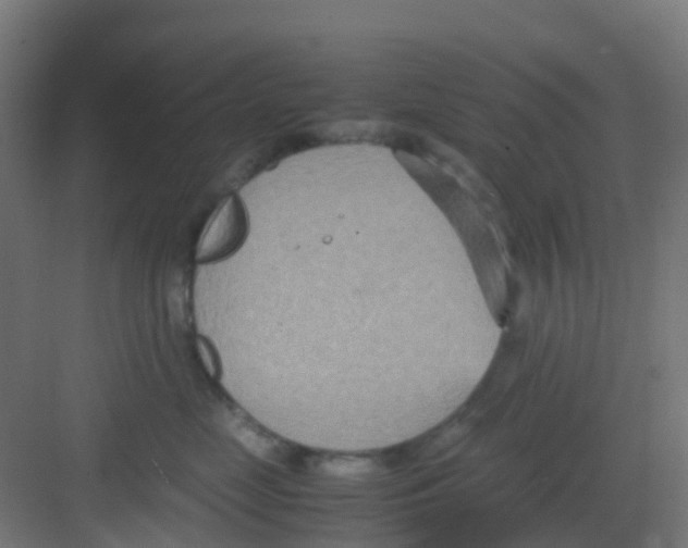 X0000081370669200702082348