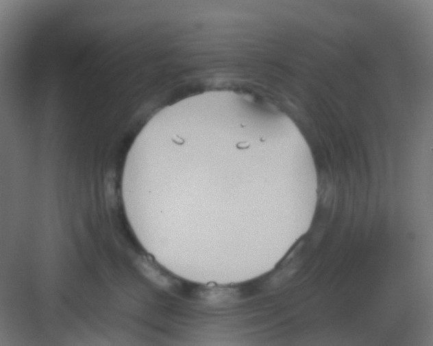 X0000081370670200702082348