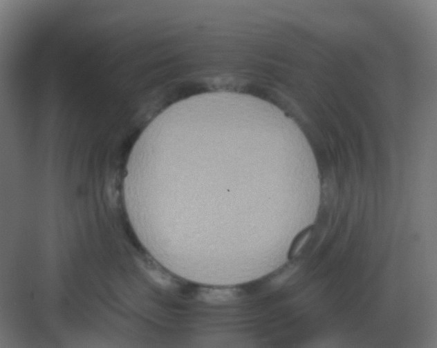 X0000081370671200702082348