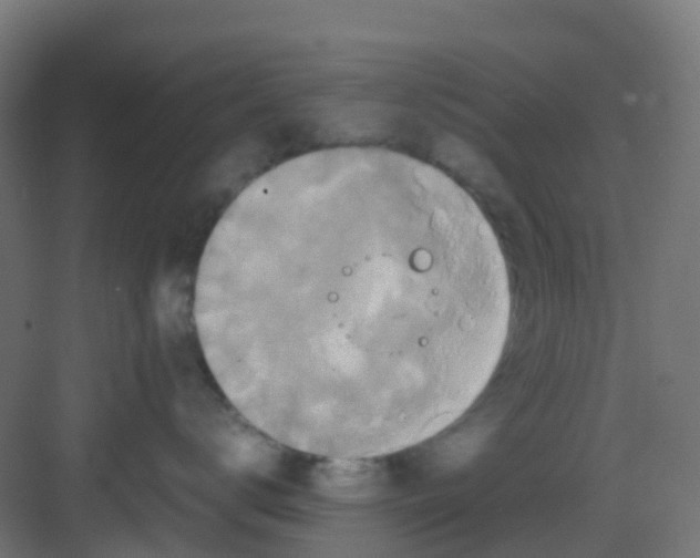 X0000081370672200702082348